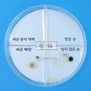 [유비네2507] SA 세균 배양과 증식 억제 실험하기(4인용)