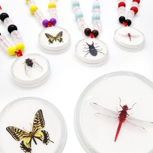 [모아네098]곤충표본 자외선목걸이만들기 4종(옵션선택)