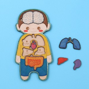 [아이디네01] 우드DIY 우리몸 어린이 조립 퍼즐 나무공예 만들기 두뇌발달 입체 모형 장난감